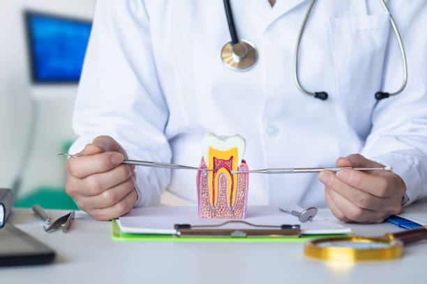 Best Pediatric Emergency Dentist in Lindstrom, MN